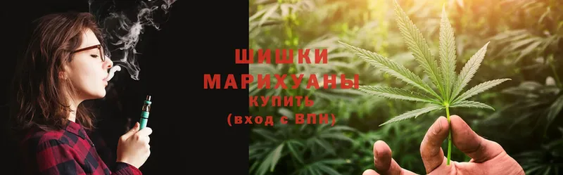 закладки  Карачаевск  Каннабис OG Kush 